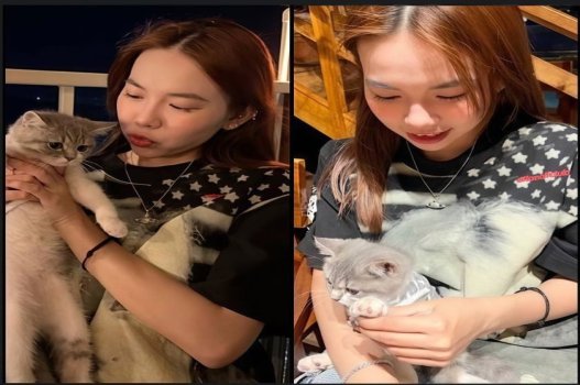 Clip nóng Bảo Ngọc khám phá mèo và chăm sóc chim